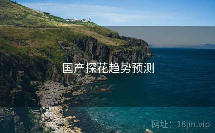 国产探花趋势预测  第2张