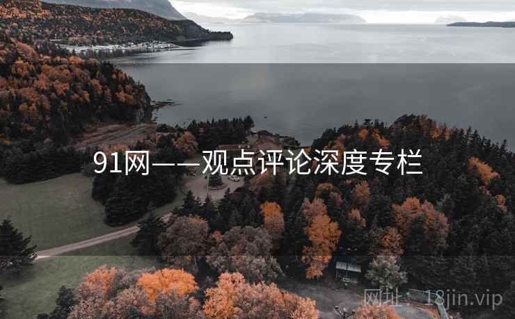 91网——观点评论深度专栏