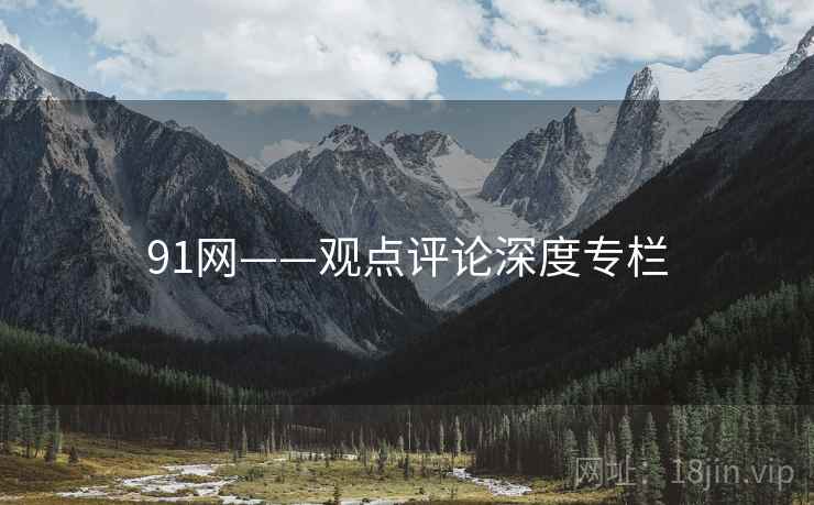 91网——观点评论深度专栏