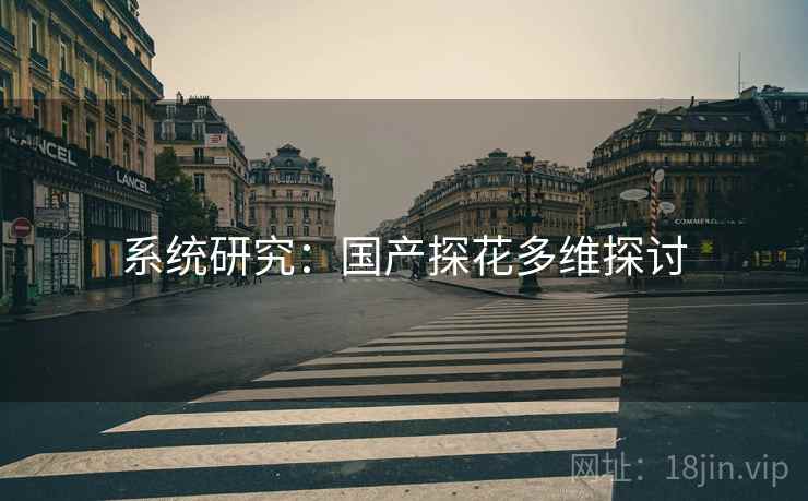 系统研究：国产探花多维探讨  第2张