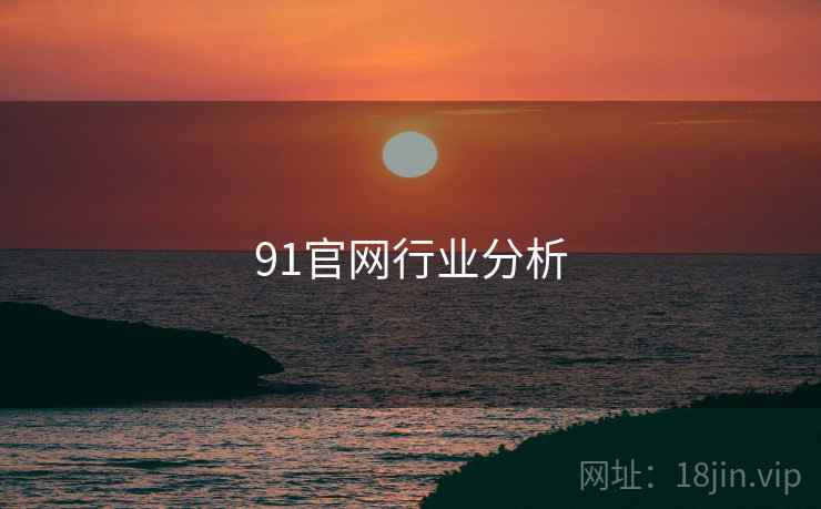 91官网行业分析