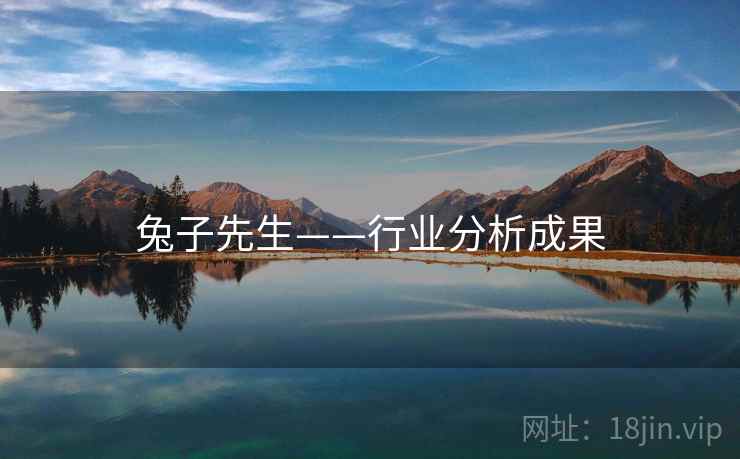 兔子先生——行业分析成果