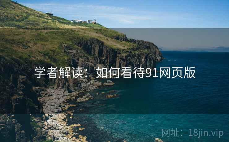 学者解读：如何看待91网页版