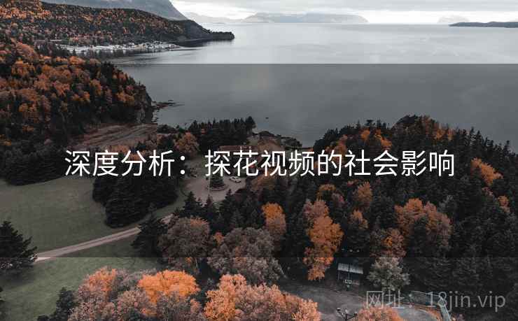 深度分析：探花视频的社会影响