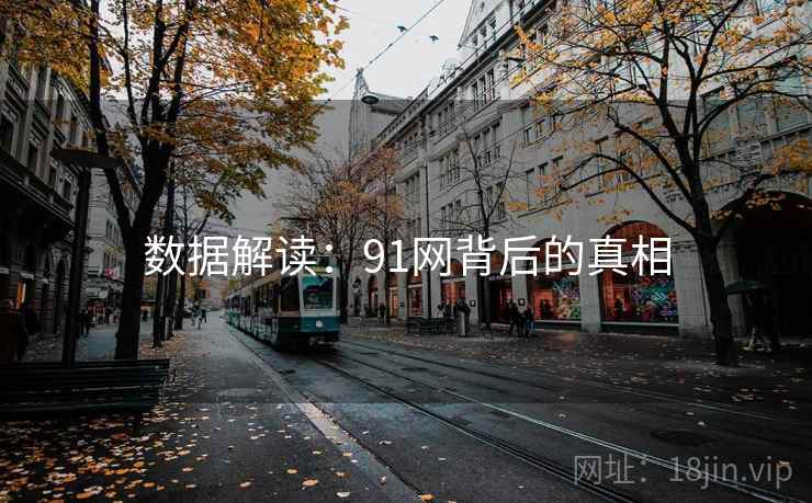 数据解读：91网背后的真相