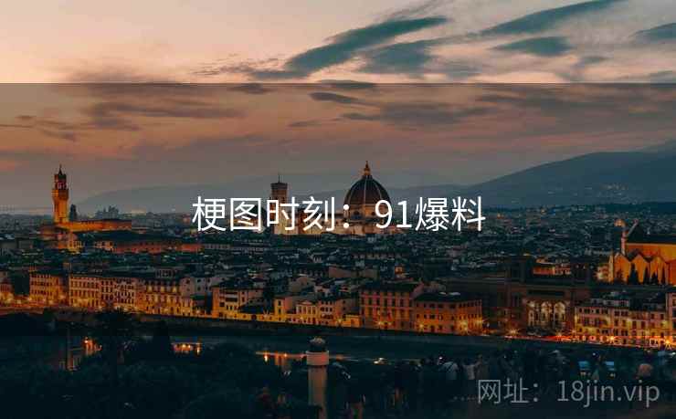 梗图时刻：91爆料