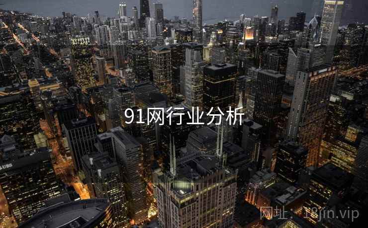 91网行业分析