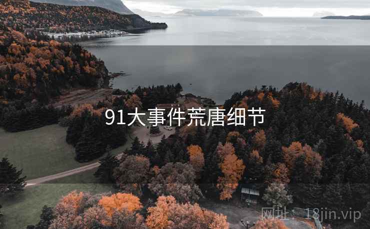 91大事件荒唐细节