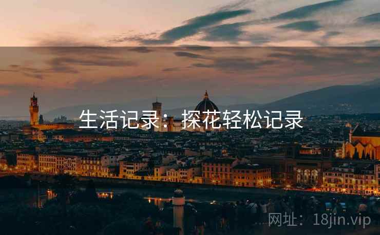 生活记录：探花轻松记录