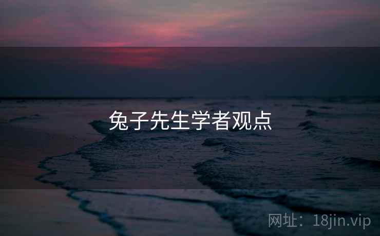 兔子先生学者观点