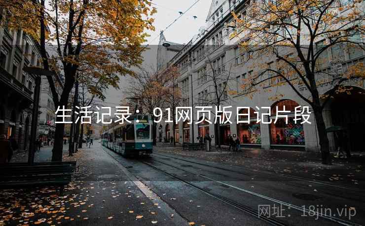 生活记录：91网页版日记片段