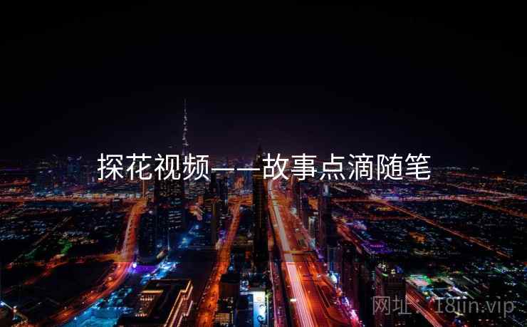 探花视频——故事点滴随笔