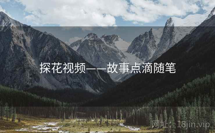 探花视频——故事点滴随笔