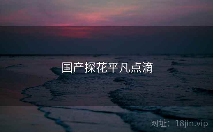 国产探花平凡点滴