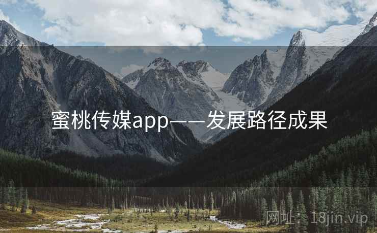蜜桃传媒app——发展路径成果