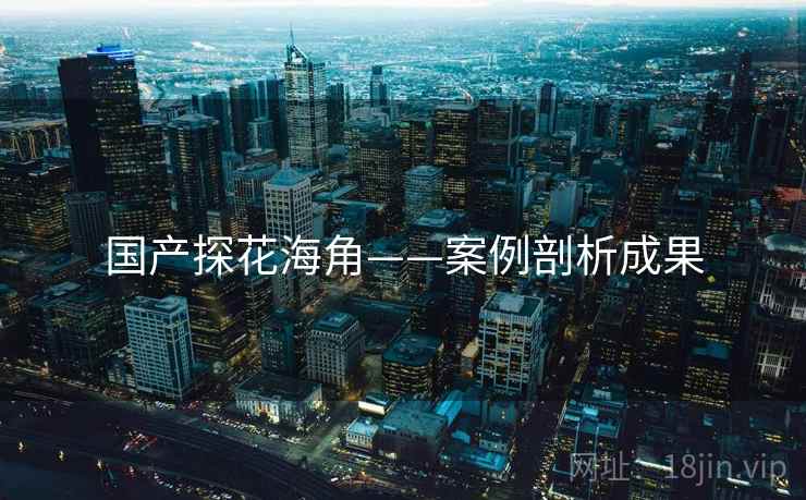 国产探花海角——案例剖析成果