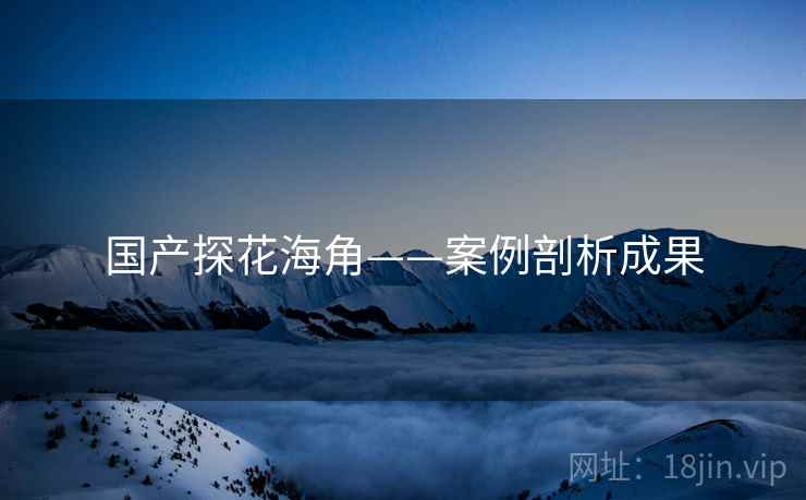 国产探花海角——案例剖析成果