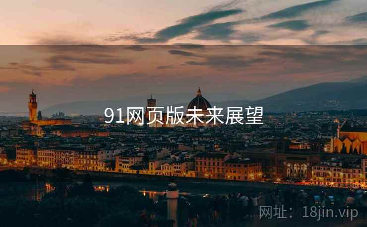 91网页版未来展望