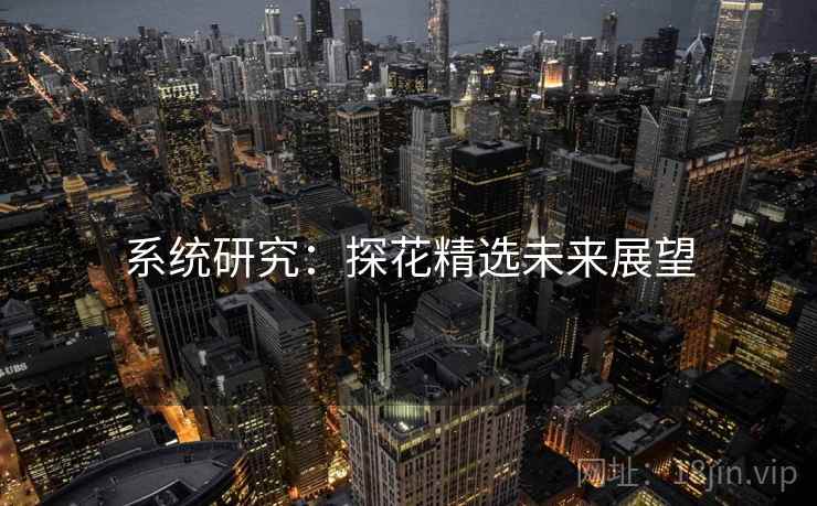 系统研究:探花精选未来展望