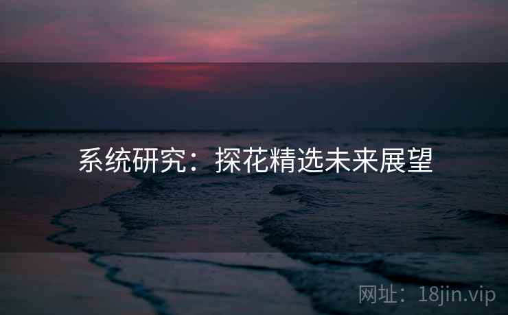 系统研究:探花精选未来展望