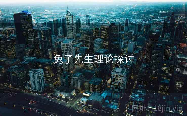 兔子先生理论探讨