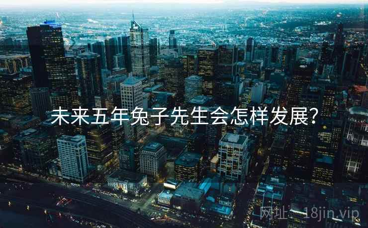 未来五年兔子先生会怎样发展?