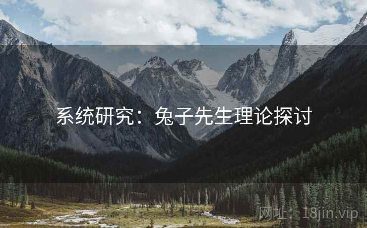 系统研究:兔子先生理论探讨