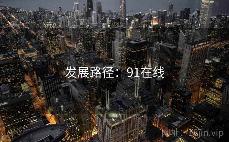 发展路径:91在线