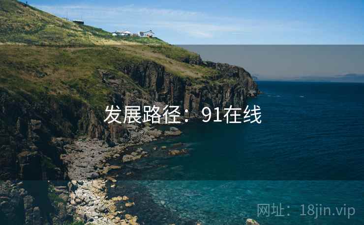 发展路径:91在线