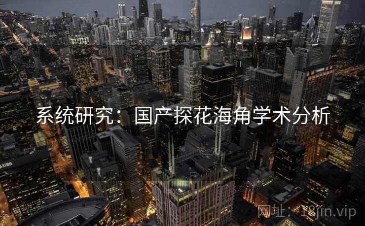 系统研究:国产探花海角学术分析